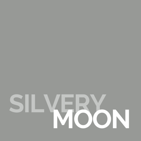 Silvery Moon