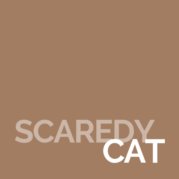 Scaredy Cat